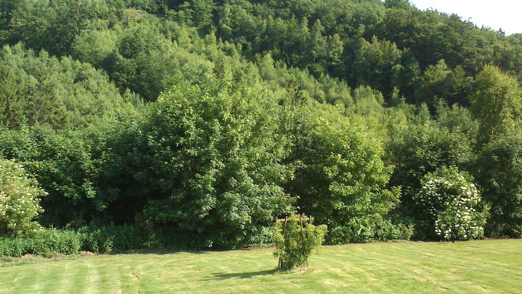 La Cle Des Champs Villa Bertogne Dış mekan fotoğraf
